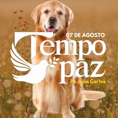 Reflexões Do Pe. João Carlos