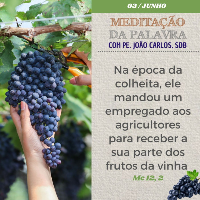 Reflexões Do Pe. João Carlos