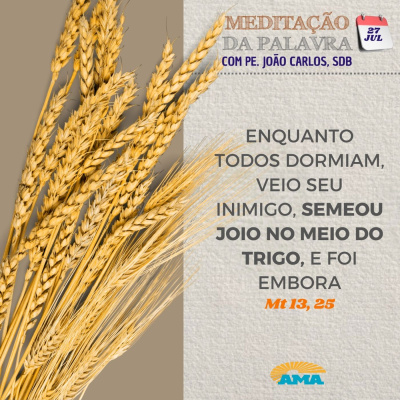 Reflexões Do Pe. João Carlos