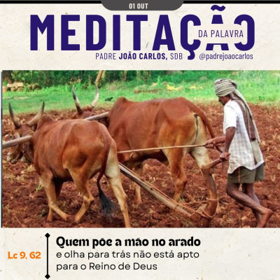 Reflexões Do Pe. João Carlos