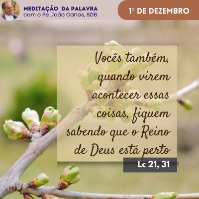 Reflexões Do Pe. João Carlos