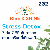 Rise  Shine 202 Stress Detox 7 วัน 7 วิธี ช่วยลดความเครียดที่เกินพอดี