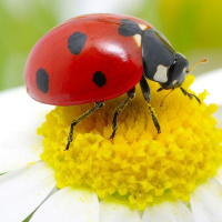 Hunter Moon: A Mel Beginning