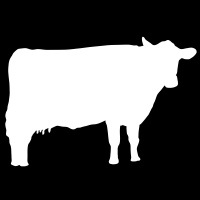 Field Trip feat. James Witt