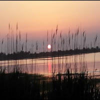 EnviroPolitics Podcast #16 - Toxic Groundwater at Fort Dix 