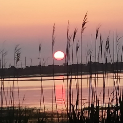 Enviropolitics Podcast