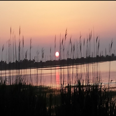 Enviropolitics Podcast