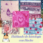 Hablando Histología Con Hache (podcast) - Www.poderato.com/eddilew
