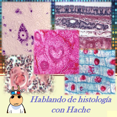 Hablando Histología Con Hache (podcast) - Www.poderato.com/eddilew