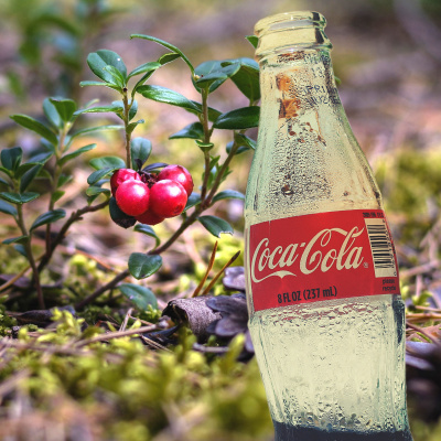 Spam Spam Spam Humbug