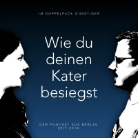 Wie du deinen Kater besiegst