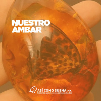 Nuestro Ámbar