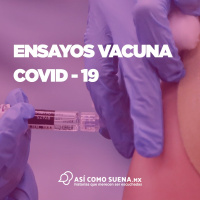 Ensayos Vacuna Covid