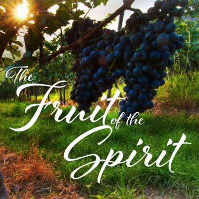Holly Springs Bible Fellowship Podcasts