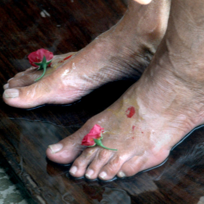 Yoga Wisdom With Swami Satchidananda