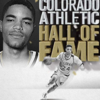 Donald Boyce/The Love Movement Podcast