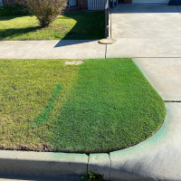 Is Painting Grass A Thing? Relationships Divided By The Border