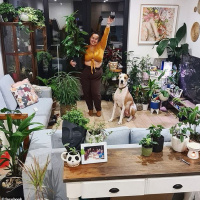 Plarents Are The 2020 Version Of Crazy Cat People