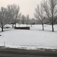 Show Us your Temps, Mario From Shepp  Wrong Name Pronunciations