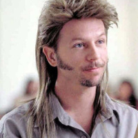 Mullet For Charity, Ninja Warrior Runner Up  GV’S Wizard Ques