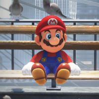 Mario From Shepparton Has Pigeons