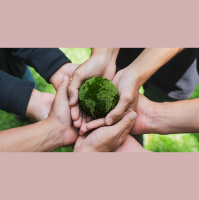 Diritto ambientale, due pronunce svolta