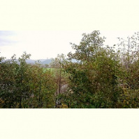 My Money Podcast #129: Recent Articles Roundup