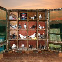 15. Studio 2 - Out Of Breath By M. Palani Kumar