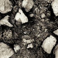 Watershed by Cass Lynch