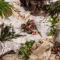 7. Bush dyeing and research