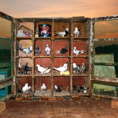 Arts House Listening Program