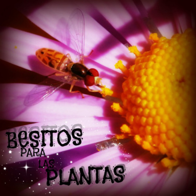 Besitos Para Las Plantas