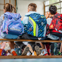 Bildungssystem - Nutzen der Schüler-ID fragwürdig