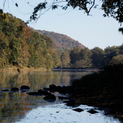 Nj Spotlight Conference Series