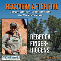 Recovery After Fire