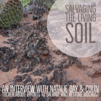 Salvaging the living soil