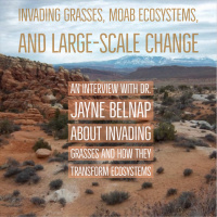 Invading grasses, Moab ecosystems,  large-scale change