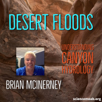 Desert Floods