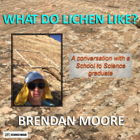 What do Lichen Like?