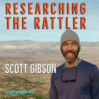 Researching the Rattler