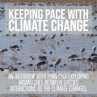 Keeping Pace with Climate Change