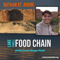 Lake Powell Food Chain