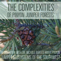 The complexities of pinyon juniper woodlands