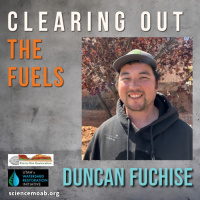 Clearing Out the Fuels