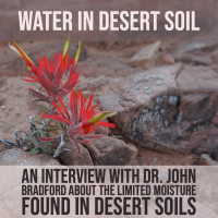 Water in Desert Soil