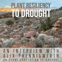 Plant resiliency to drought