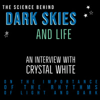 The Science Behind Dark Skies and Life