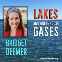 Lakes and Greenhouse Gases