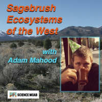 Sagebrush Ecosystems of the West