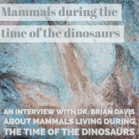 Mammals during the time of the dinosaurs